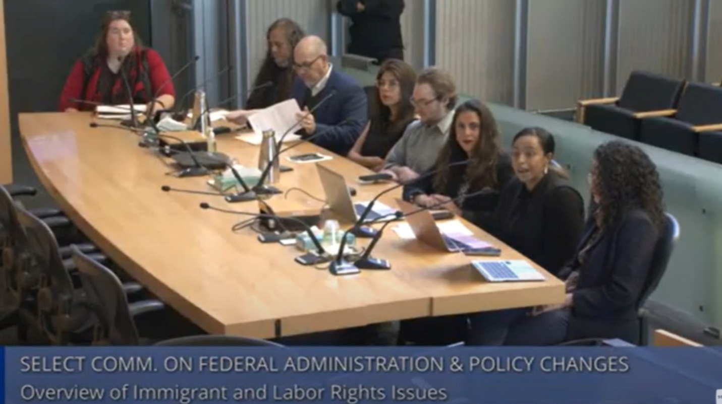 Guests speaking in council chambers at the Select Committee on Federal Administration and Policy Changes