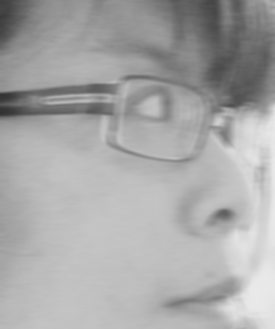 Fiona K. Lua headshot