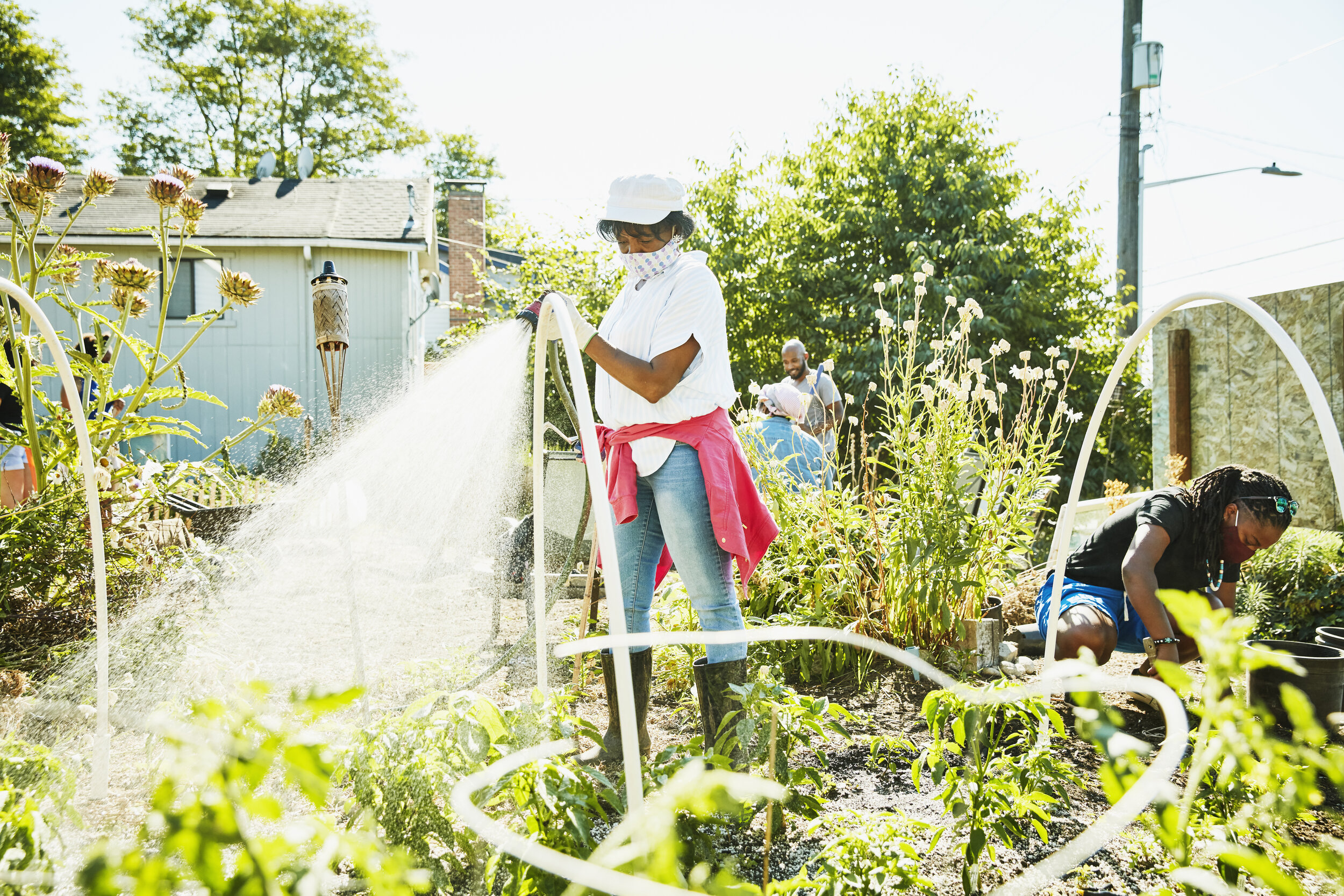 People wearing face coverings water a community garden.