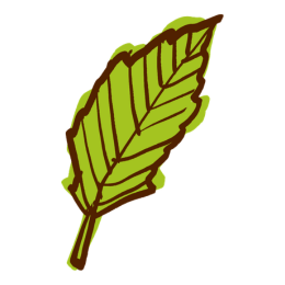 A graphic illustration of a green leaf