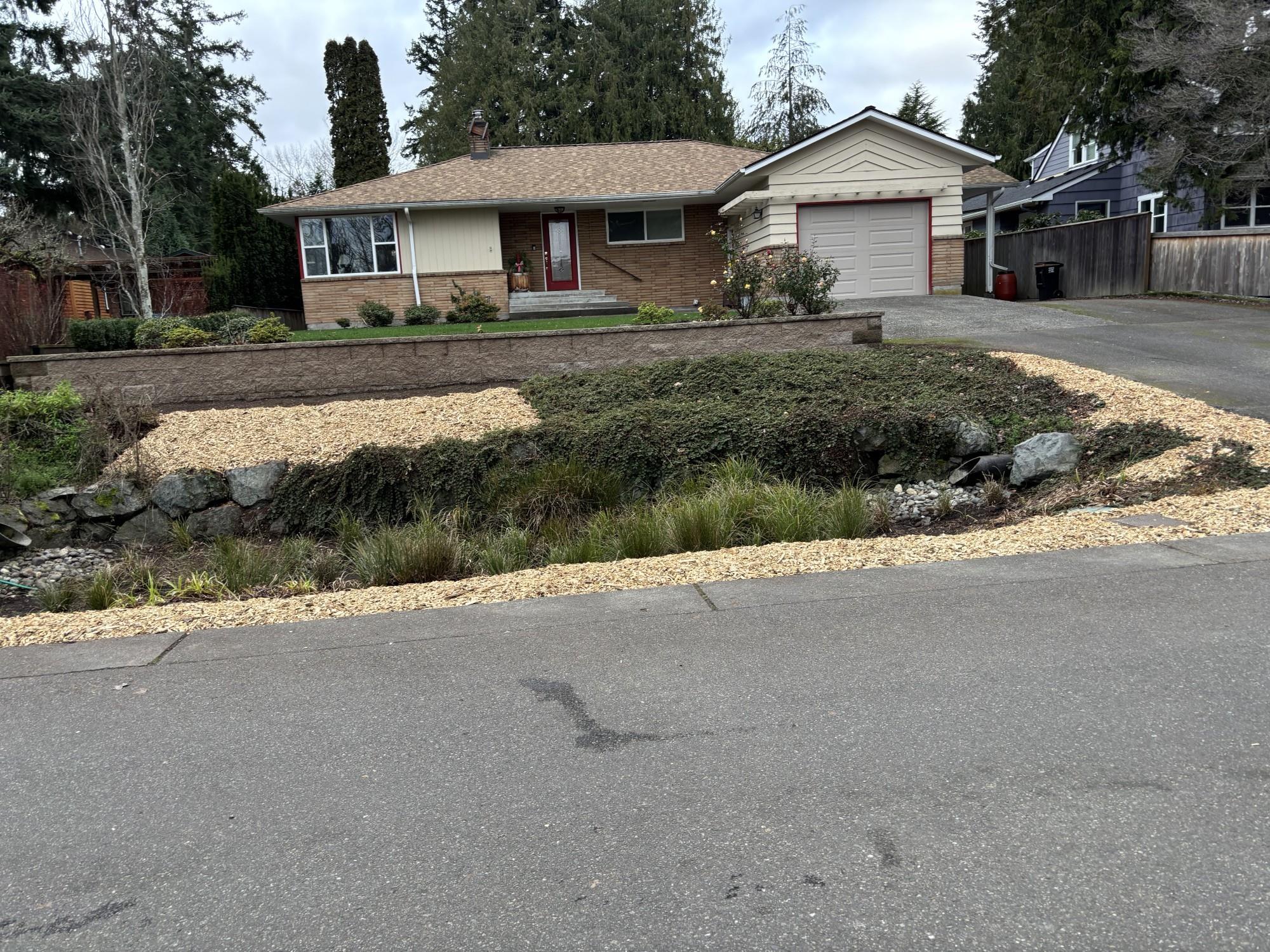 The finished work of Seattle Conservation Corps' landscaping work, with fresh woodchips, viewed from the street