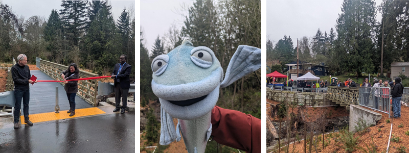 Three photos of the Willow Creek Fish Passage ribbon cutting event