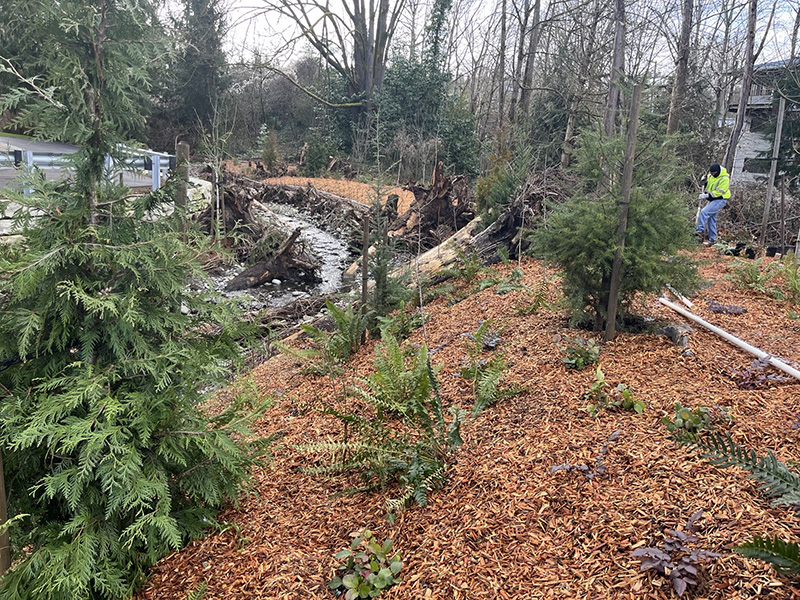 View of the newly restored Willows Creek Fish Passage