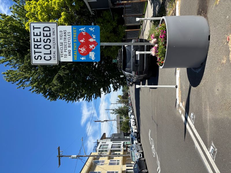 Healthy Street planter with plants inside