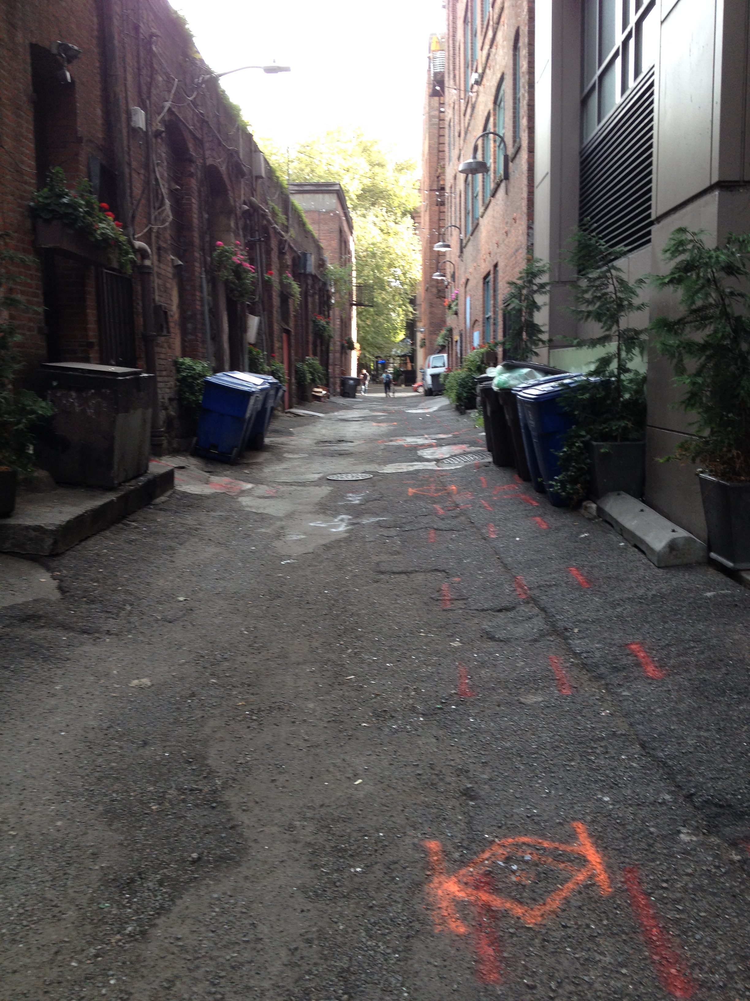 Pioneer Passage before photo