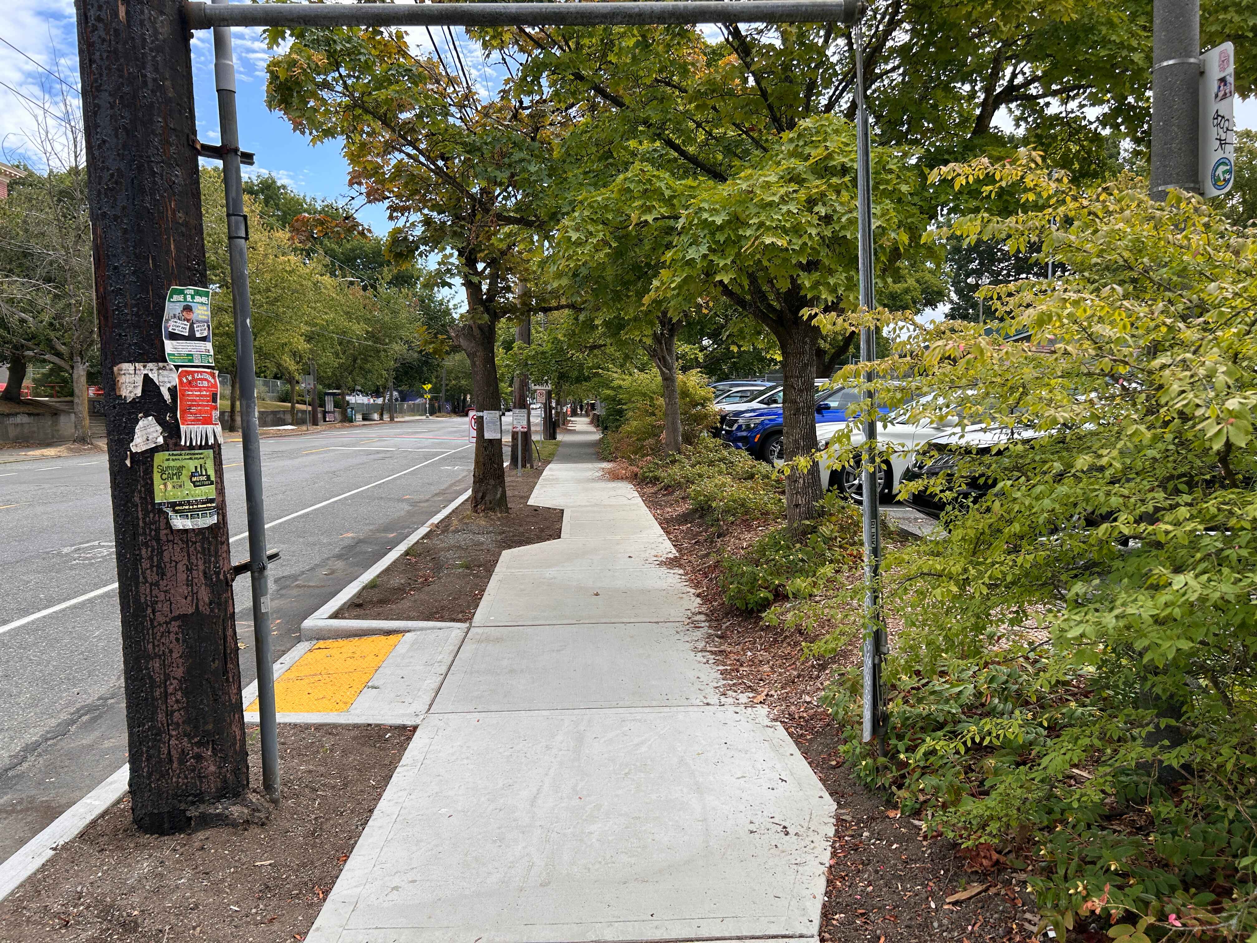 Newly repaired sidewalk and new curb ramp lined by trees.