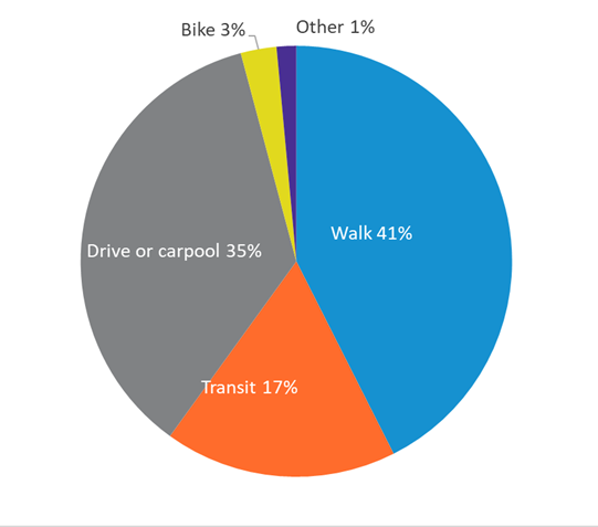 Intercept Pie Chart 2019