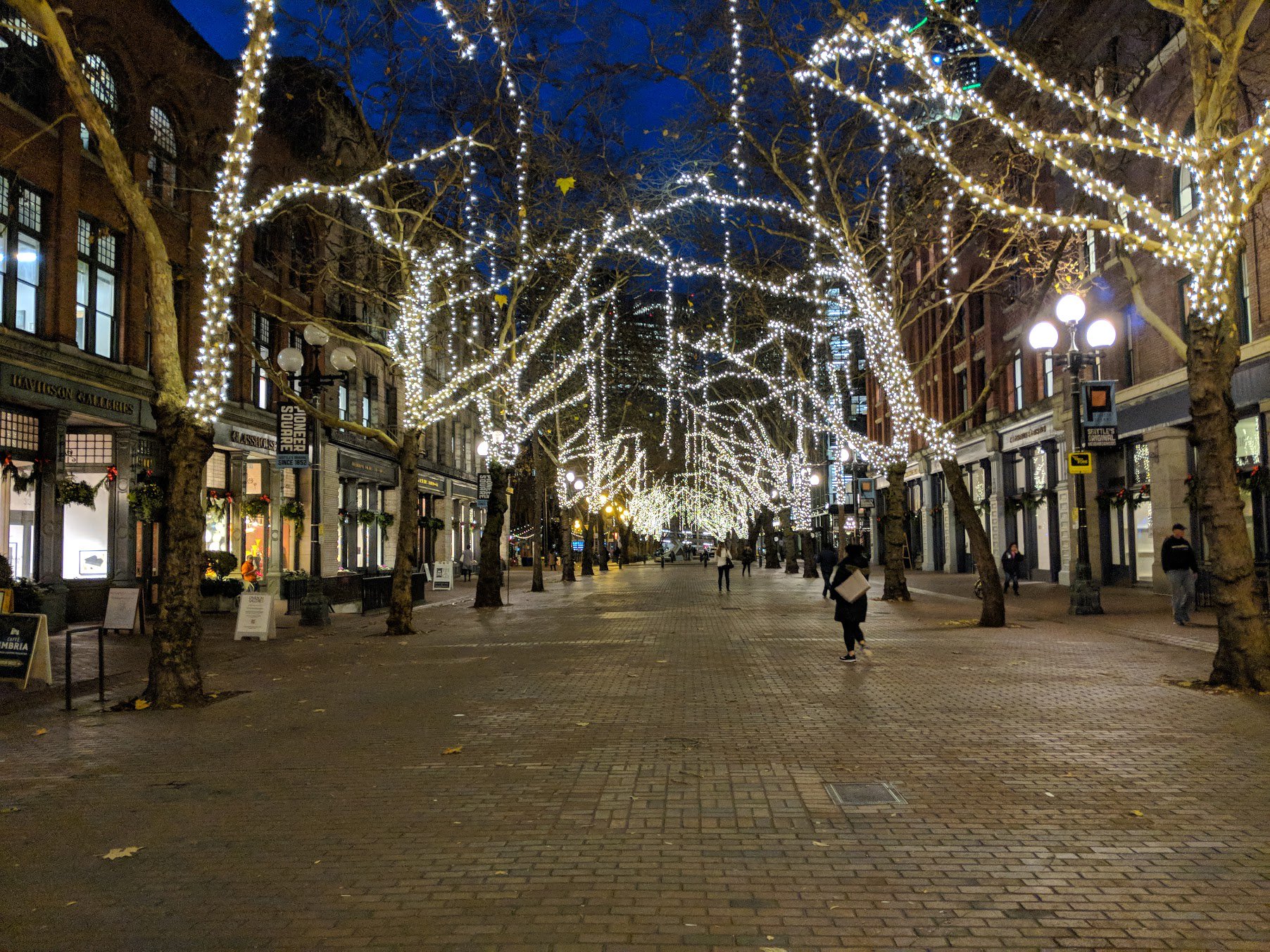 Image of lights on trees an Occidental with pedestrian scaled lighting at night.