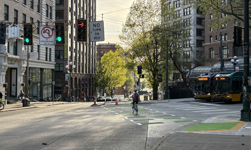 A Cyclists uses the new crossing lines to pass from one side of 3rd Ave S to the other. 
