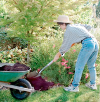 A woman gardening with shovel and wheelbarrow.