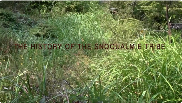 Video still with grasses and text The History of The Snoqualmie Tribe.