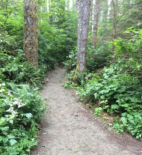 Photo of Rattlesnake Ledge Trail