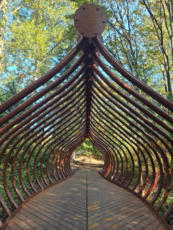 The bridge with trees in the background.