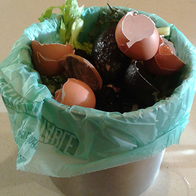 Photo of compost container example #2