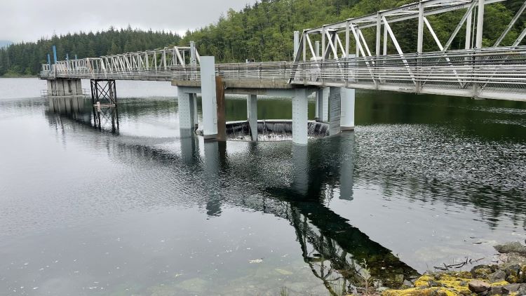 Tolt Reservoir spillway.