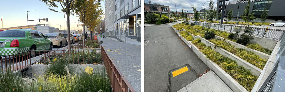 Examples of bioretention planters