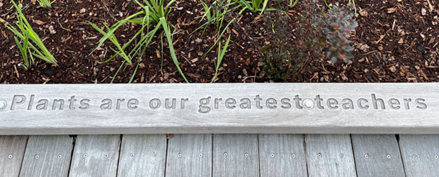 A wooden kickplate that says "Plants are our greatest teachers"