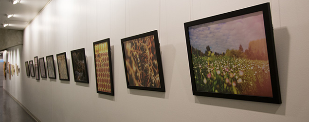Anne Folke gallery at City Hall