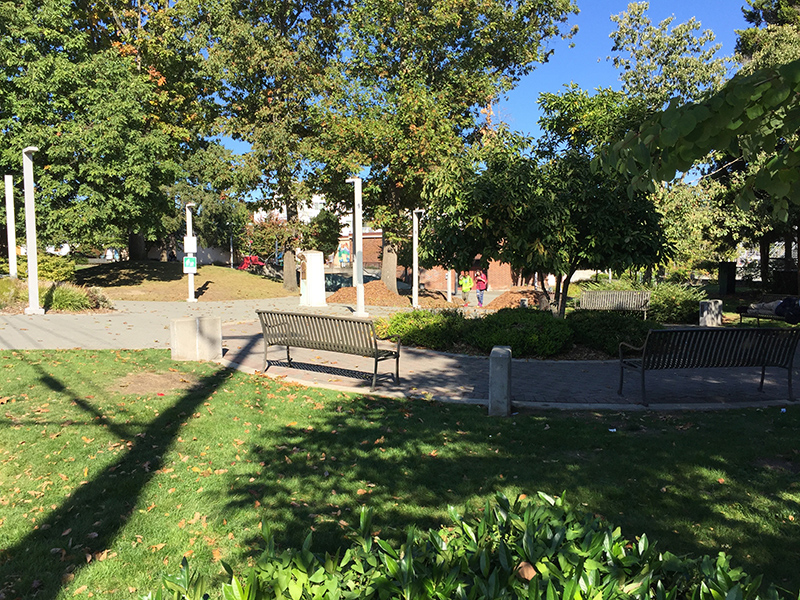 Albert Davis Park benches