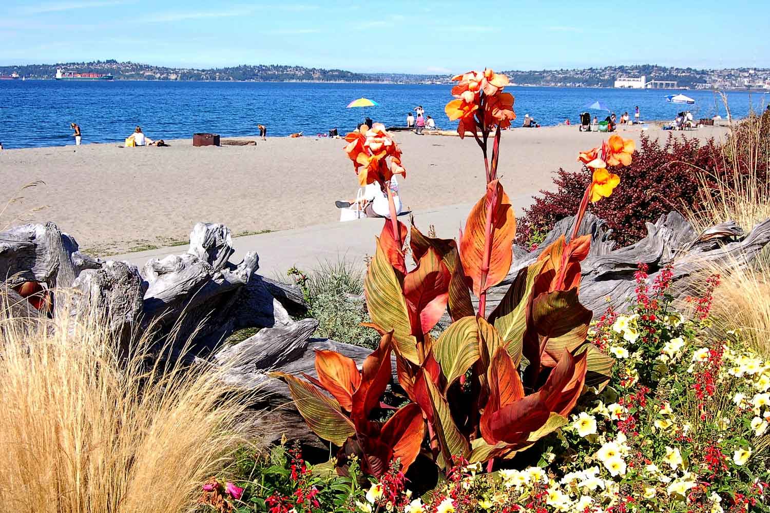 View of the water from Alki Beach Park photo by Laurel Mercury 