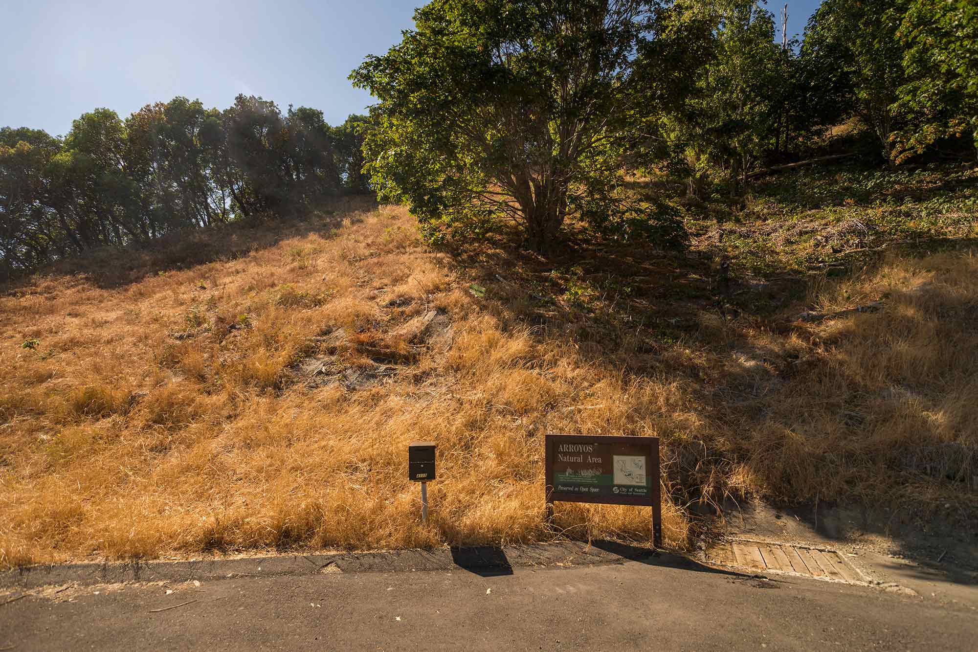 Arroyos Natural Area hillside - Photo by TIA International Photography