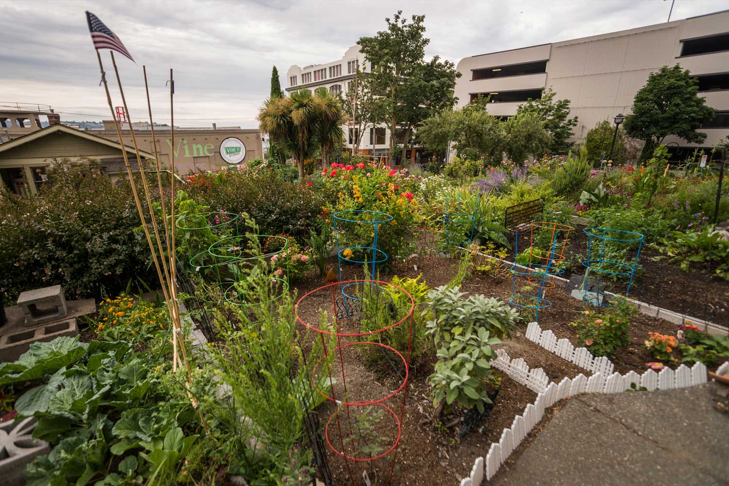 Belltown Cottage Park garden plot - Photo by TIA International Photography