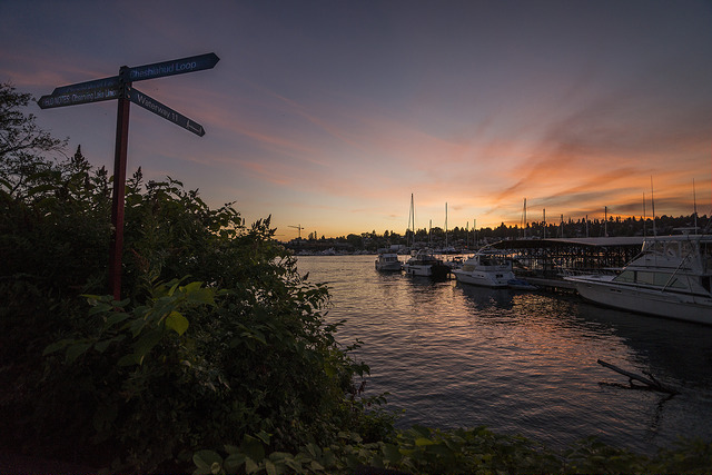 Cheshiahud Lake Union Loop at sunset