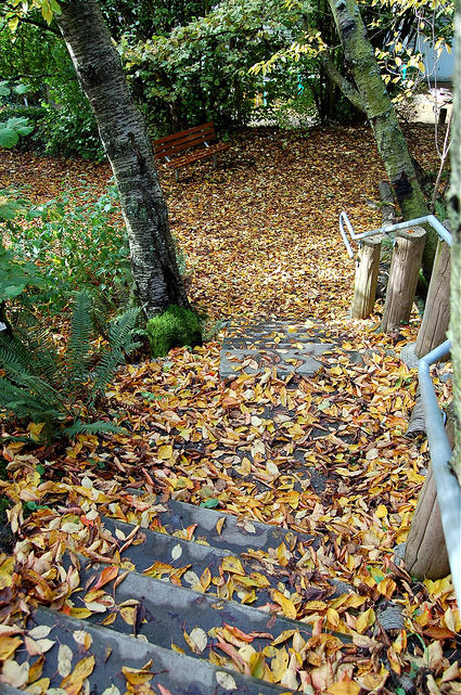Crown Hill Glen staircase