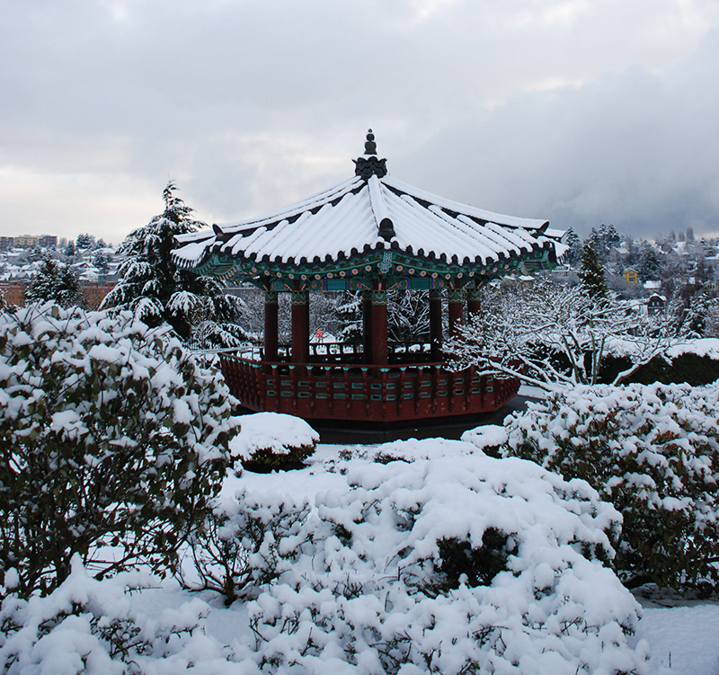 Daejeon Park in the snow
