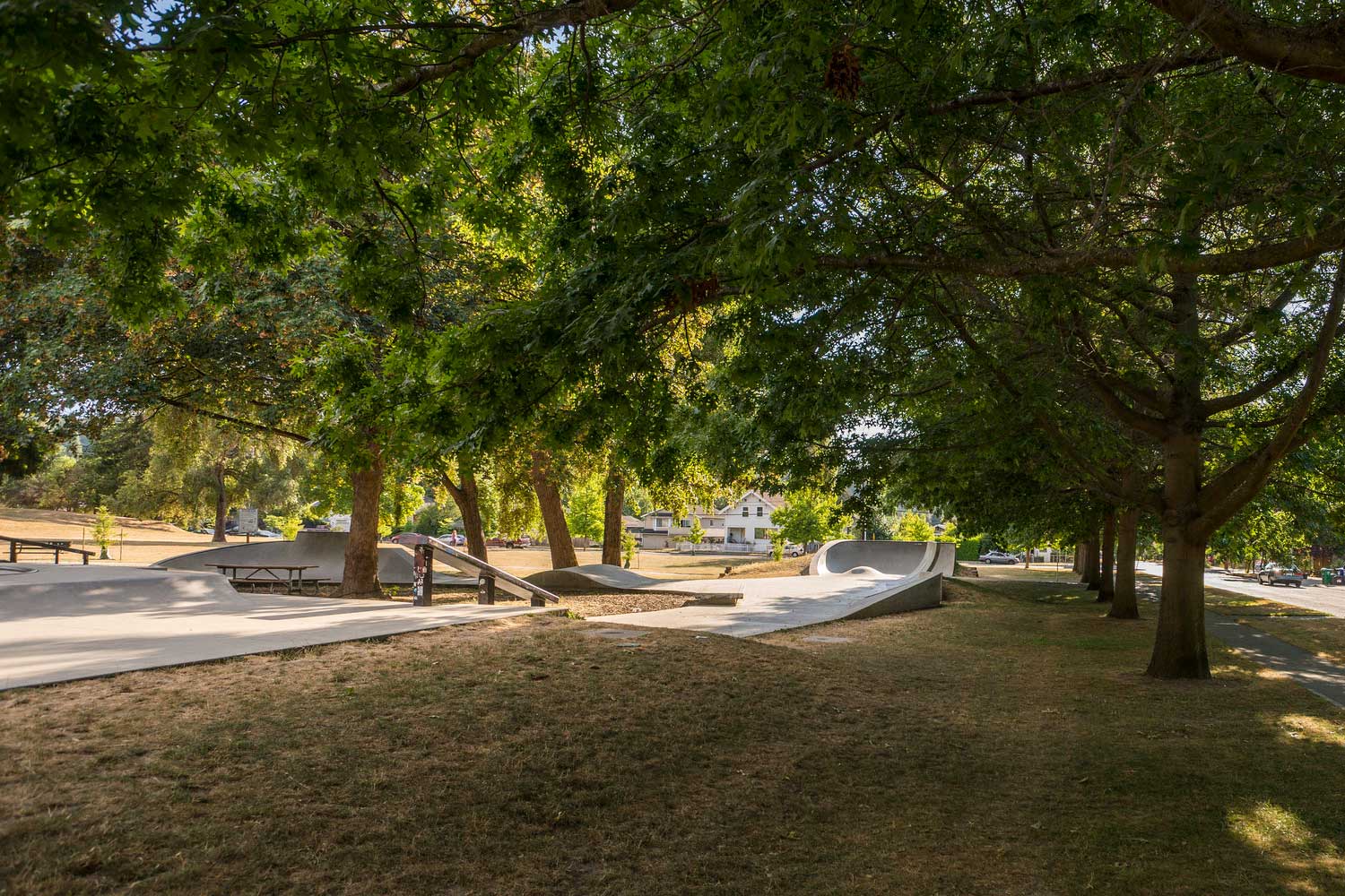Skateramp at Delridge Playfield lawn with trees - photo by TIA International Photography