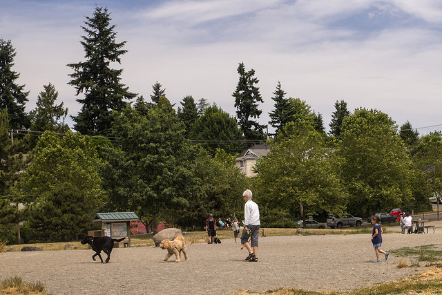 Genesee Park off leash area