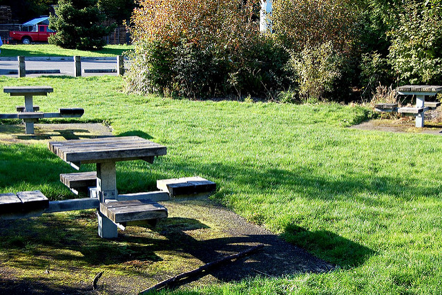 Herring House Park picnic tables