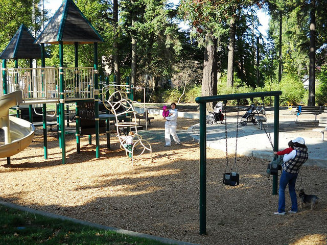 Hiawatha Playfield play area