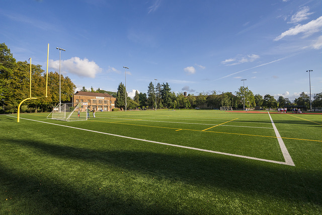 Hiawatha Playfield football field and goal post
