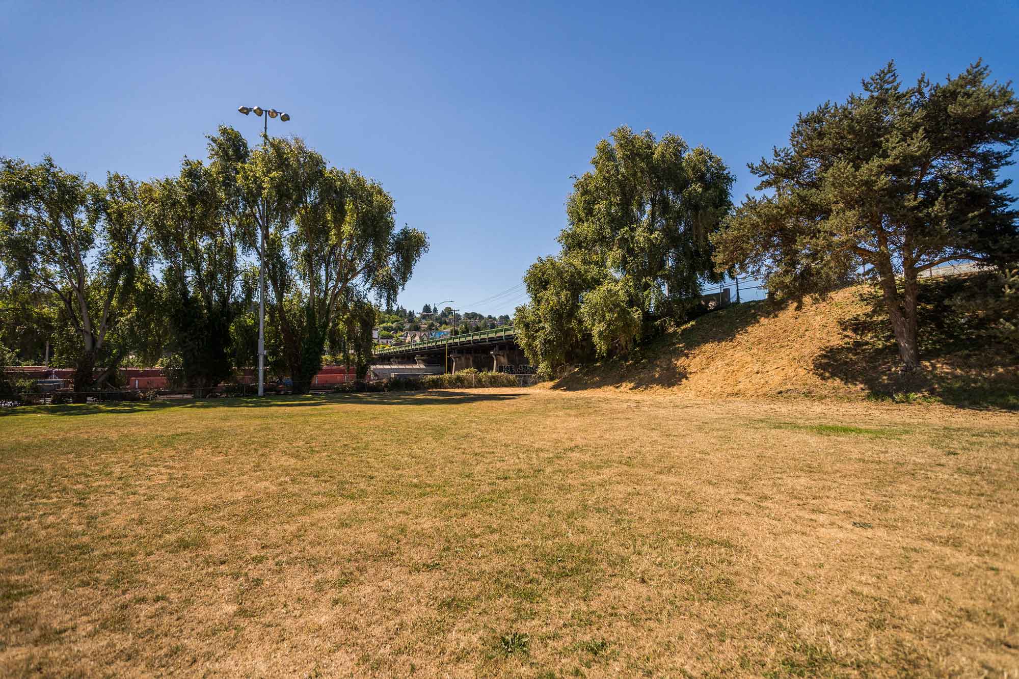 Interbay Athletic Complex lawn - Photo by TIA International Photography