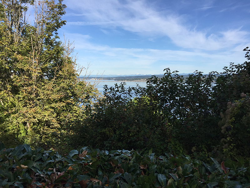 View from wall and vantage point