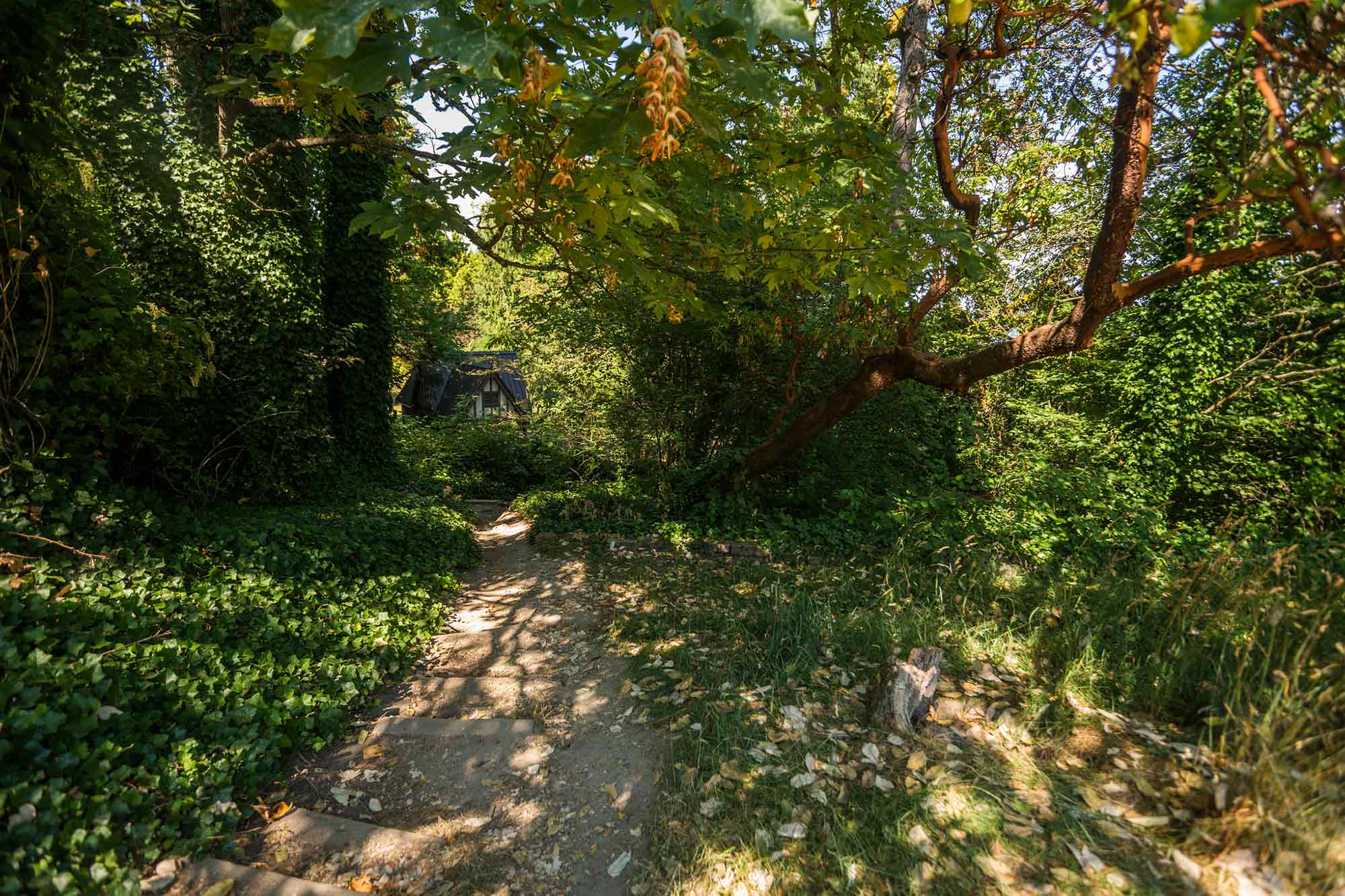 Leschi Park hike - Photo by TIA International Photography
