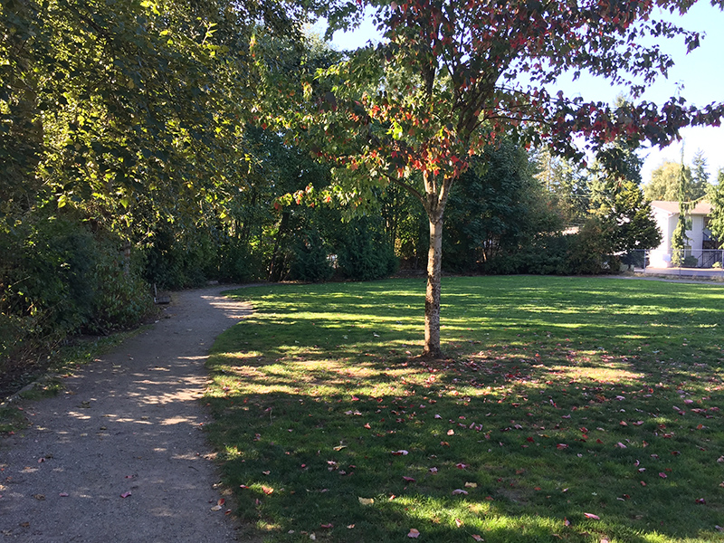 Little Brook Park grassy area and habitat 