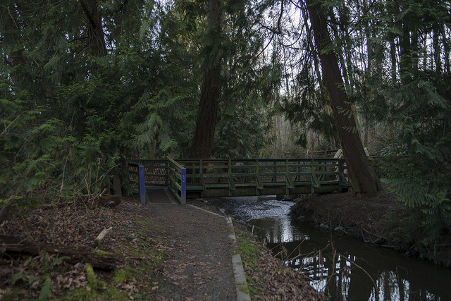 Longfellow Creek Natural Area bridge over creek