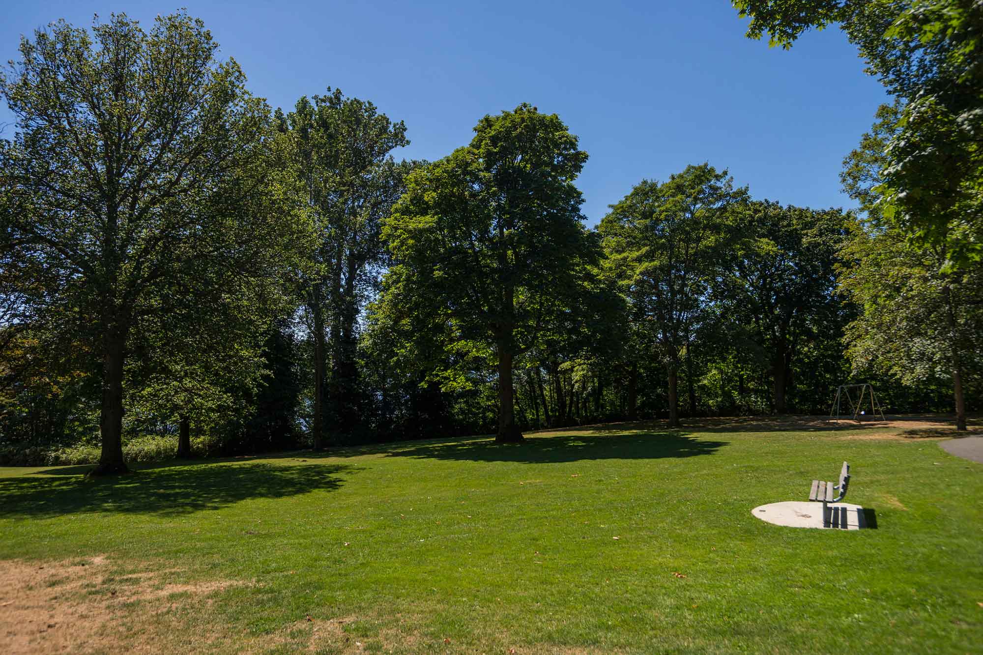 Magnolia Park lawn and trees - Photo by TIA International Photography