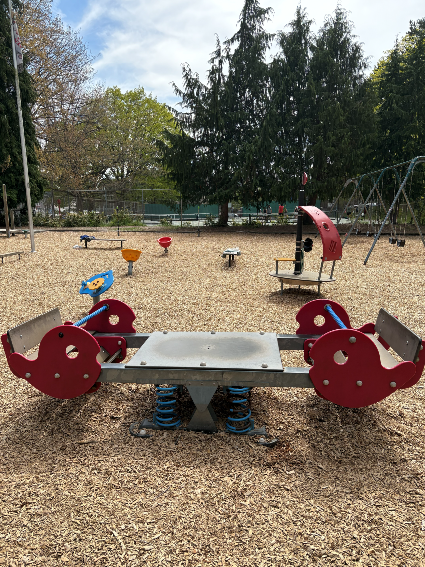 Magnolia Playfield - playground equipment
