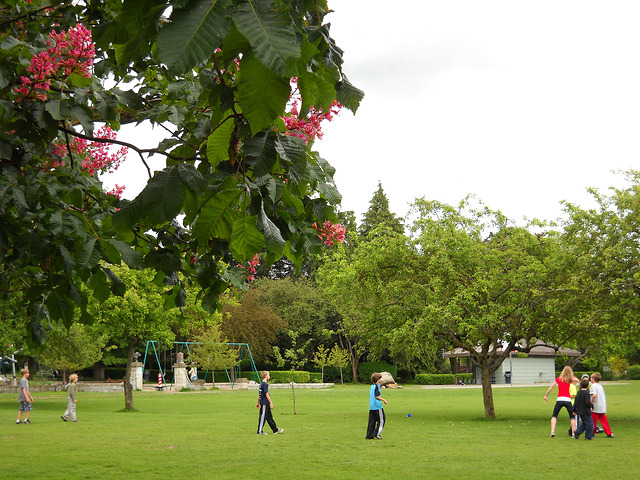 Meridian Playground trees and lawn
