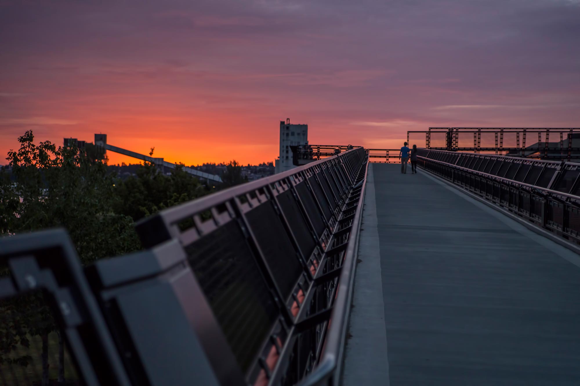 Stairway and path at Myrtle Edwards Park