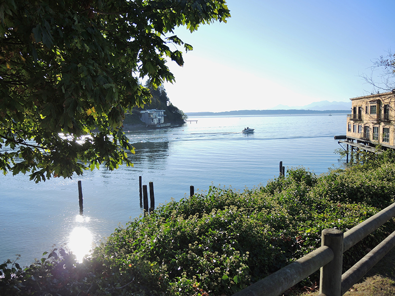 Northwest 60th Viewpoint views