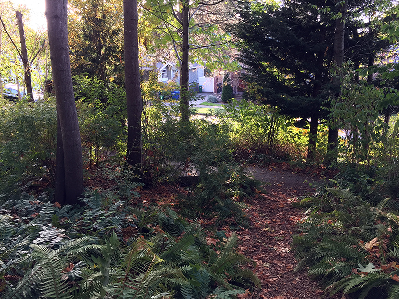 Nora's Woods views and paths