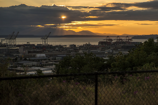 Twelfth Avenue South Viewpoint city views