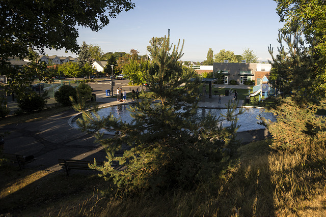 Van Asselt Playground play area and trees