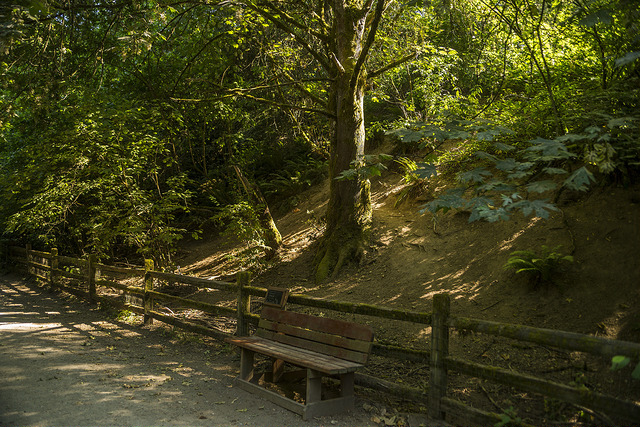 Westcrest Park paths