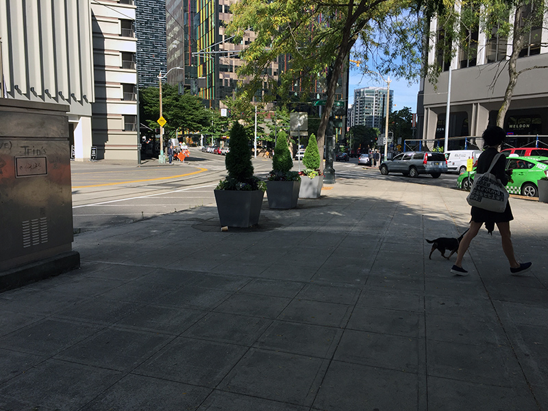 Walking through Westlake Square