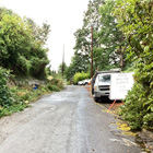 Perkins Lane showing a hill with a lot of overgrowth